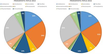 Bacterial Communities of the Canola Rhizosphere: Network Analysis Reveals a Core Bacterium Shaping Microbial Interactions